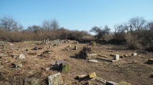 21 Březnové brigády na hřbitově ve Svatoboru   